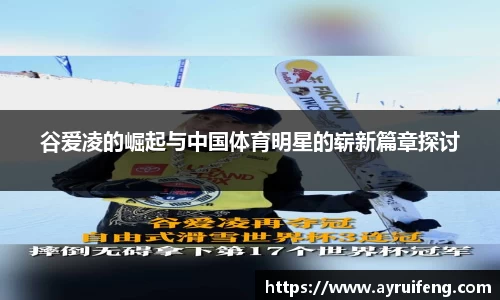 365WM完美体育官网