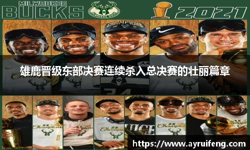 365WM完美体育官方app