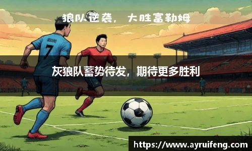 365WM完美体育官方网站