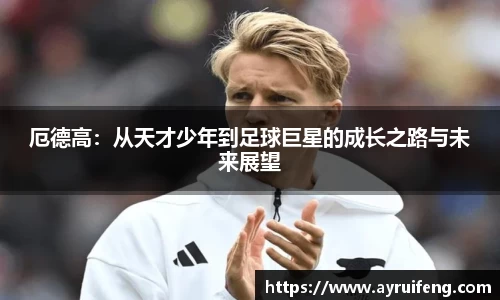 365WM完美体育官网