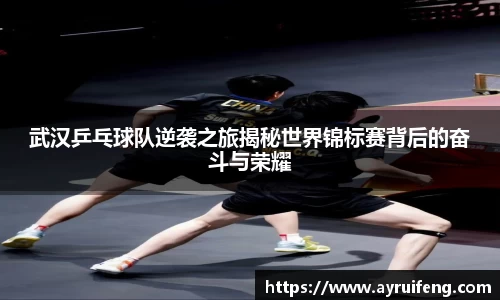 365WM完美体育官网