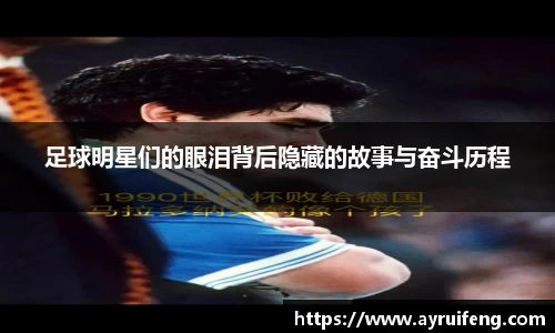 365WM完美体育官网