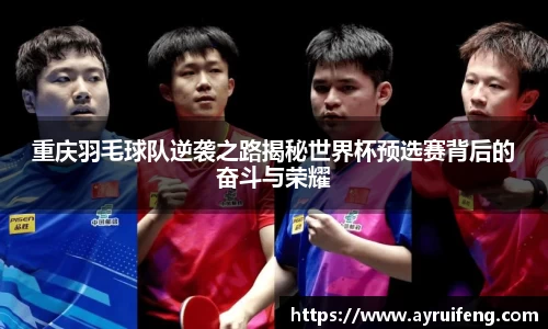 365WM完美体育官方app