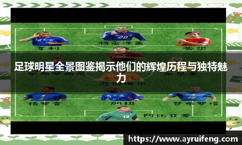 365WM完美体育官网