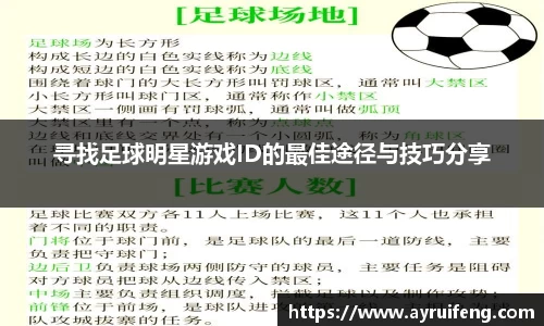 365WM完美体育官网